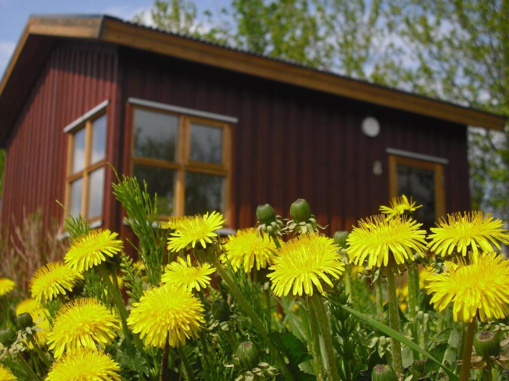 Guesthouse Petursborg Akureyri Room photo