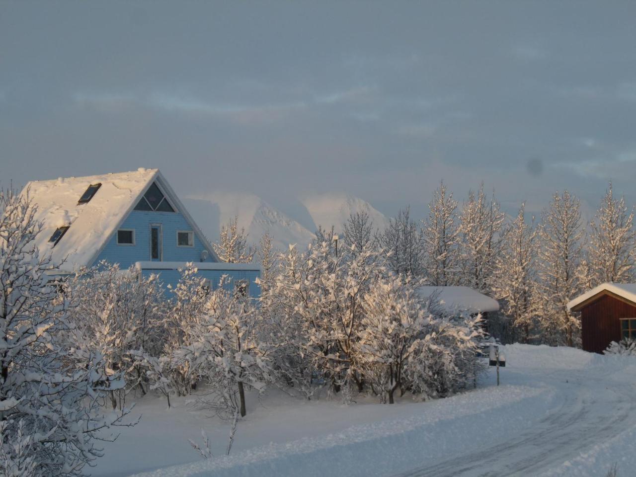 Guesthouse Petursborg Akureyri Exterior photo