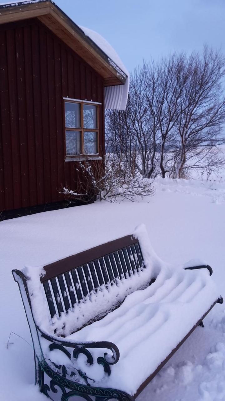 Guesthouse Petursborg Akureyri Exterior photo